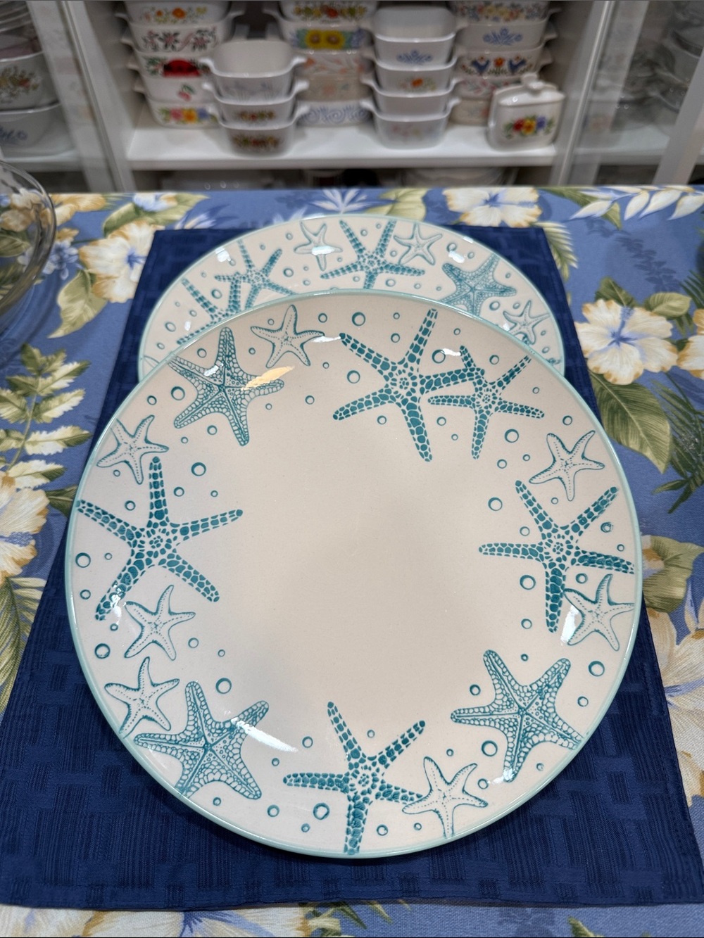 Pfaltzgraff Aqua Starfish Ceramic Dinner Plates (Set of 2)